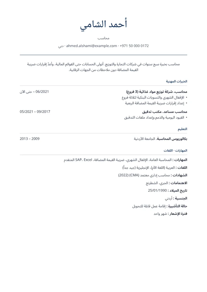 نموذج سيرة ذاتية لمحاسب، تصميم رصين