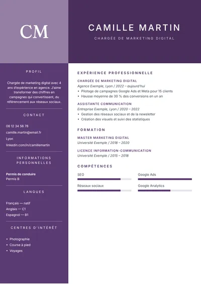Aperçu du modèle de CV Prestige