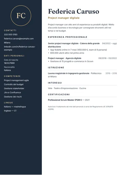 Esempio di curriculum da project manager digitale con budget