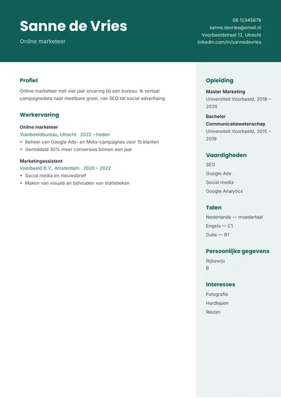 Voorbeeld van het cv-sjabloon Banier