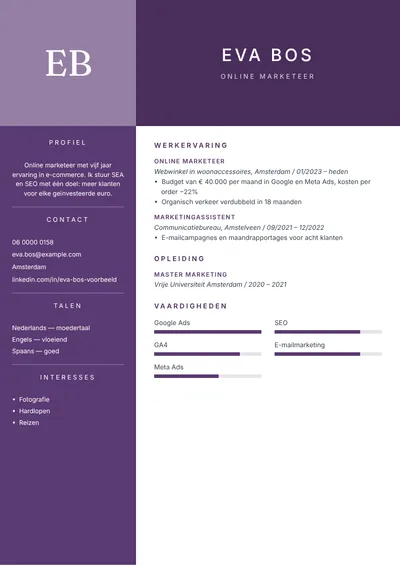 Cv-voorbeeld van een online marketeer met resultaten