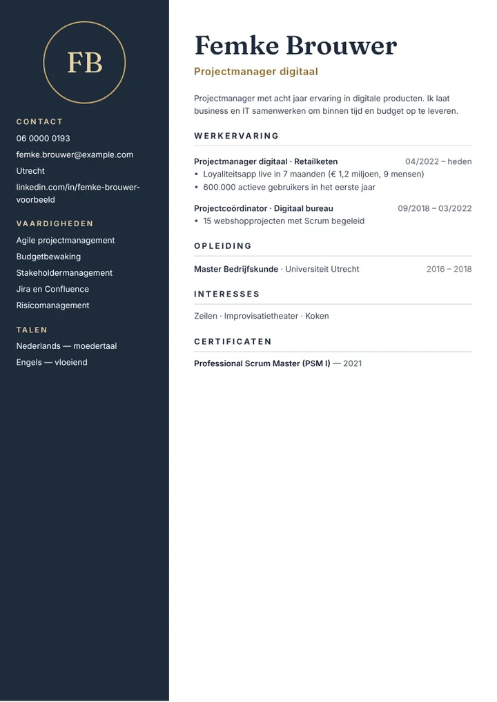Cv-voorbeeld van een digitale projectmanager