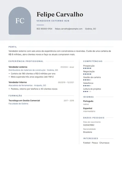Exemplo de currículo de vendedor externo B2B com metas