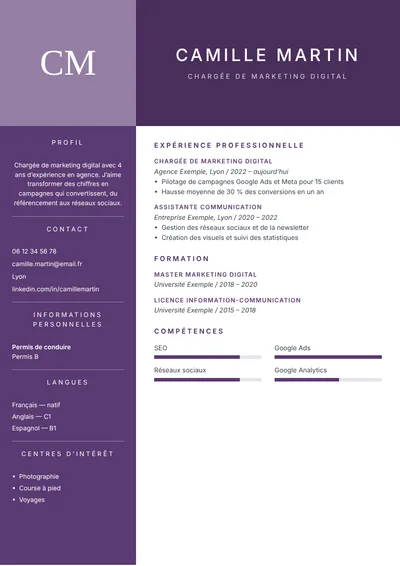 Exemple de CV réalisé avec CVflash (modèle Prestige)