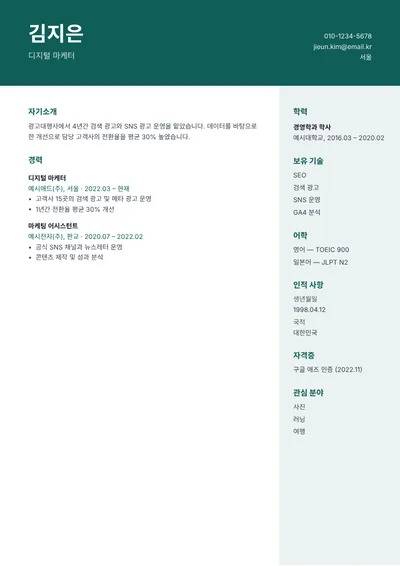 이력서 템플릿: 배너(사진 없음)