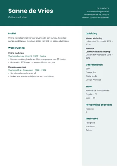 Cv-sjabloon Banier (zonder foto)