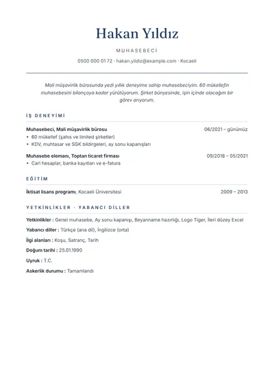 Mali müşavirlik bürosunda çalışan muhasebeci CV örneği, sade tasarım