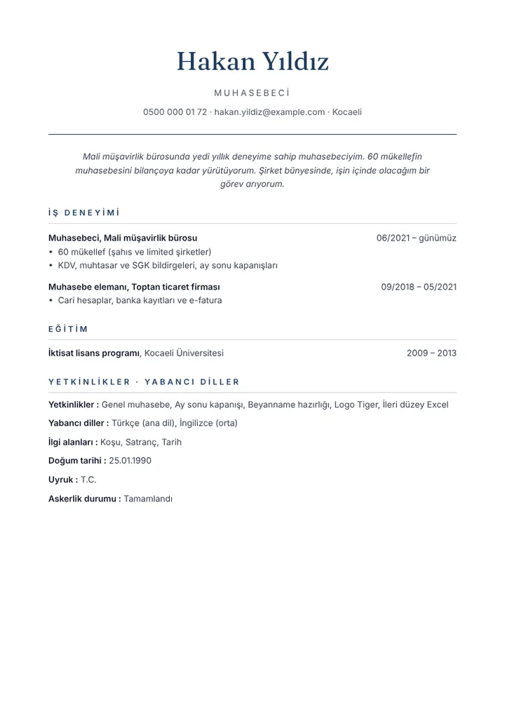 Mali müşavirlik bürosunda çalışan muhasebeci CV örneği, sade tasarım