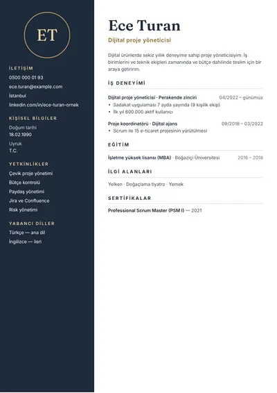 Dijital proje yöneticisi CV örneği