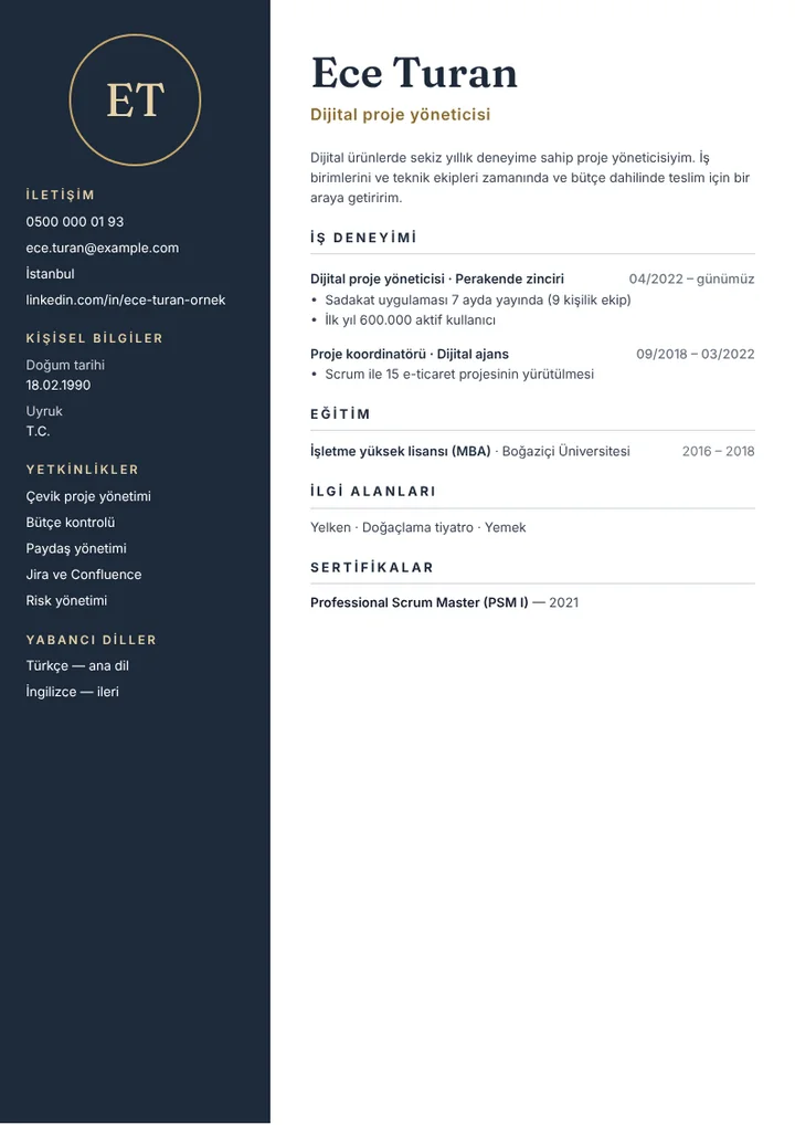 Dijital proje yöneticisi CV örneği