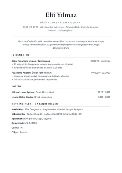 Klasik CV şablonunun önizlemesi