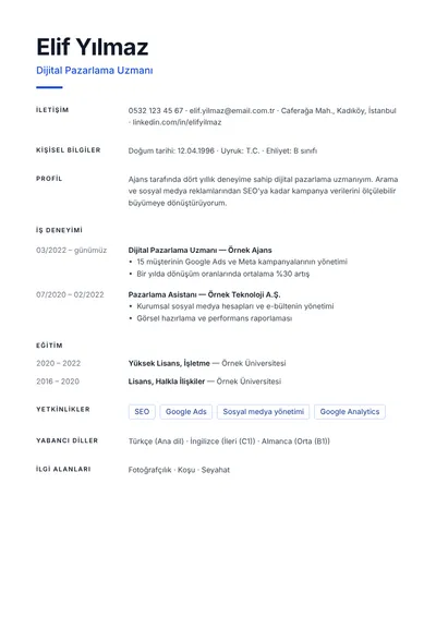 Minimal CV şablonunun önizlemesi
