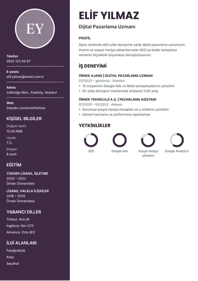 Patlıcan CV şablonunun önizlemesi