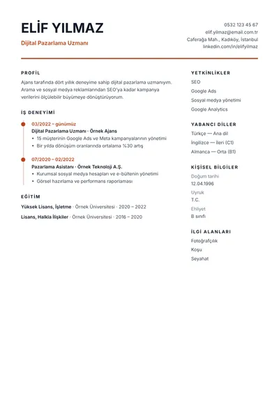 Zaman Çizelgesi CV şablonunun önizlemesi